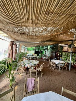 La Huerta de Ana y Eva