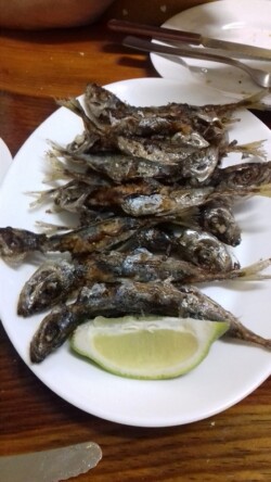 Bodegón Casa Emilio