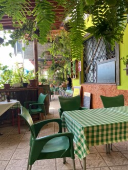 Guachinche de Bibi y Mana