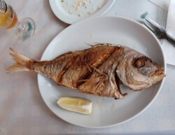 Guachinche de Bibi y Mana