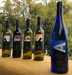 Guachinche Bodega La Suertita