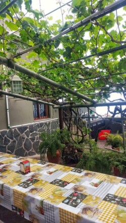 Guachinche Casa Estela