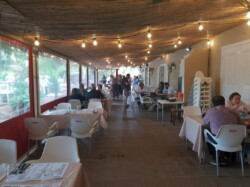 Guachinche Como En Casa