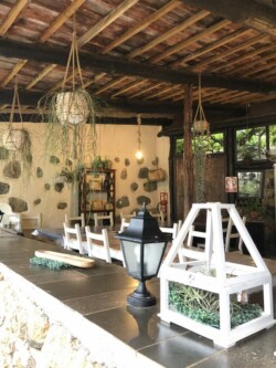 Guachinche El Miradero