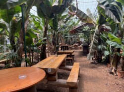 Restaurante El Cordero