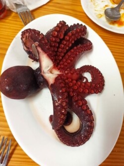 Guachinche Casa Doña Candelaria