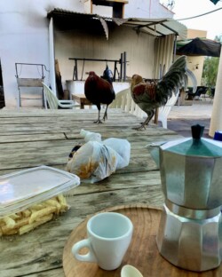 Guachinche Casa Gabriel