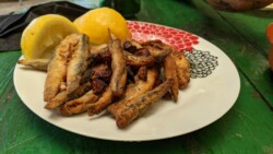 Guachinche Casa Gabriel