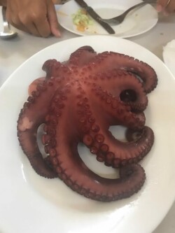 Guachinche El Capitán