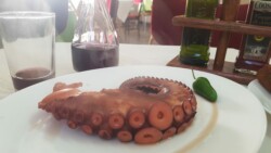 Guachinche El Parralito