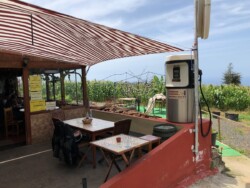 Guachinche El Surtidor