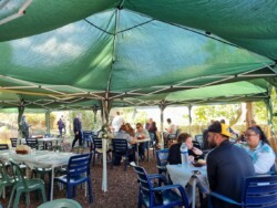 Guachinche Finca El Pino