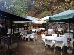 Guachinche Los Dornajos