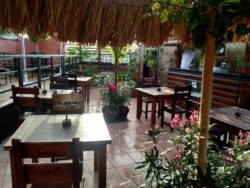 Guachinche Pal Choso