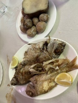 Guachinche Tasca El Tenique