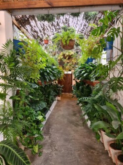 Bar Casa Teodoro (El Ratón)