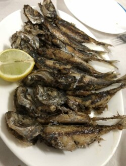 Guachinche Los Felipes