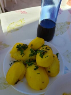Guachinche El Molinero