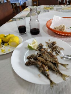 Guachinche El Molinero