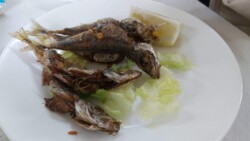 Restaurante 10 años