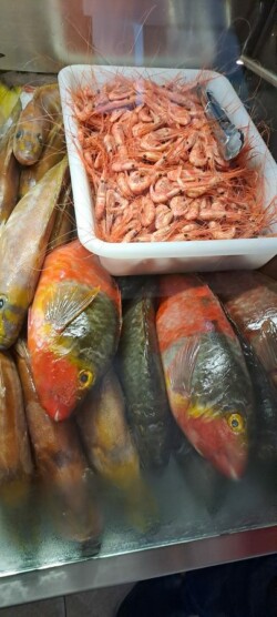 Restaurante Casa Manuel El Veleta