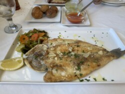 Restaurante El Palmar