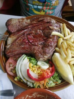 Restaurante El Palmar