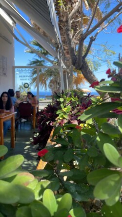 Restaurante Vale la pena