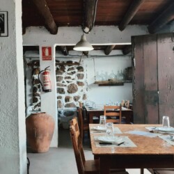 La ruta del guachinche (los establos)