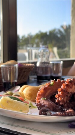 La ruta del guachinche (los establos)