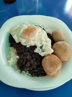 Bar Restaurante El Mantillo Los Chochos