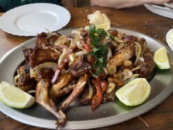 Bodegón Irache Gara