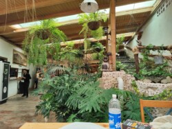 Las cuevas de abuela