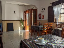 Guachinche Vi la flor de Chasna