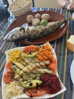 Guachinche Vi la flor de Chasna