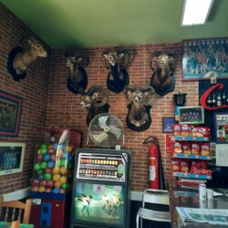 Bar El Campo, El Rosario, Tenerife