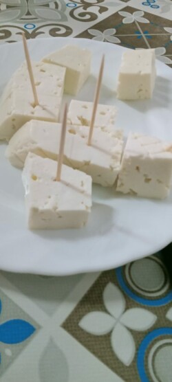 Casa Perico, Tenerife