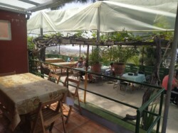 Guachinche El Timplillo