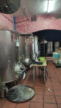 Bodegón Julio El Pienso, La Matanza de Acentejo, Tenerife