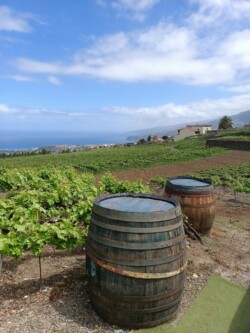 Guachinche El Laurel, La Orotava, Tenerife
