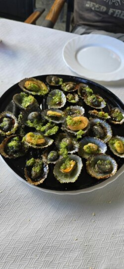 Guachinche El Farrobillo, Santa Úrsula, Tenerife