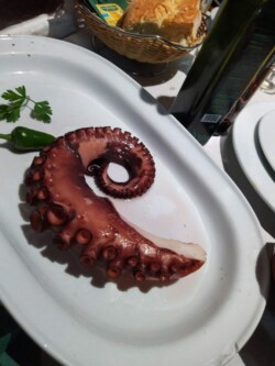 Guachinche El Pino, Los Realejos