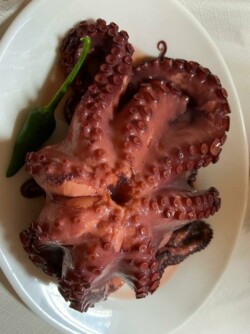 Bodegón José el del Cisco, Santa Úrsula, Tenerife