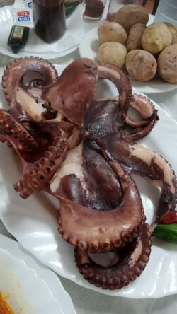 Guachinche Ale y Jose, La Orotava, Tenerife