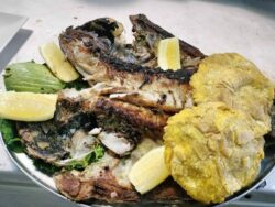 Restaurante GP Grill, Arafo, Tenerife